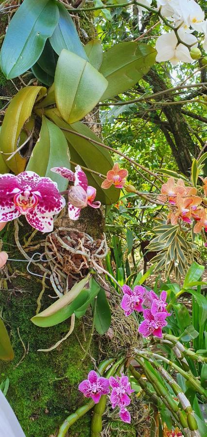 Suites No Paraiso Da Ilhabela Zewnętrze zdjęcie