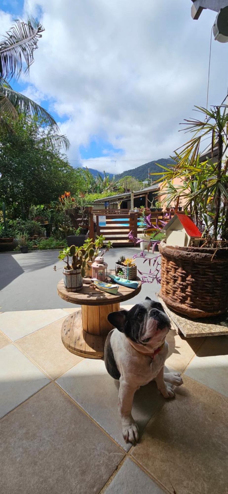 Suites No Paraiso Da Ilhabela Zewnętrze zdjęcie